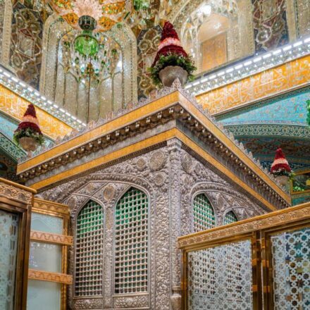 WhatsApp Image 2026-01-07 at 11.06.31